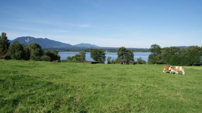 Große Staffelsee-Runde