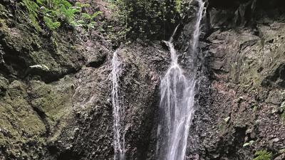 Levada do Moinho 2