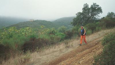 Monte Orello