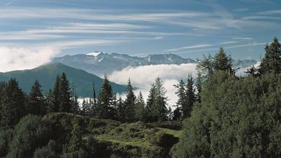 Bichlalm und Remsteinkopf