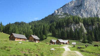 Filzmoosalm und Filzmooshörndl