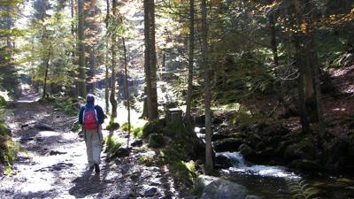 Kleiner Arbersee, 918 m