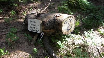 Pröller und WaldWipfelWeg