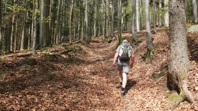 Brotjacklriegel, 1011 m