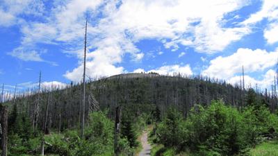 Große Nationalparkwanderung