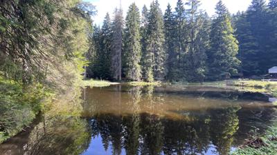 Höllbachgespreng, Großer Falkenstein