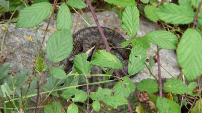 In die Karstwildnis nördlich von Artaun