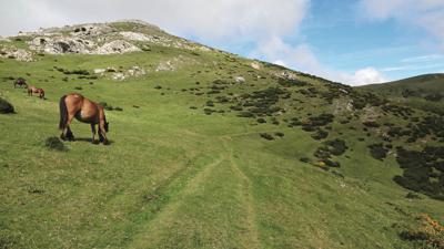 Von Arantzazu zur Ermita de Urbia
