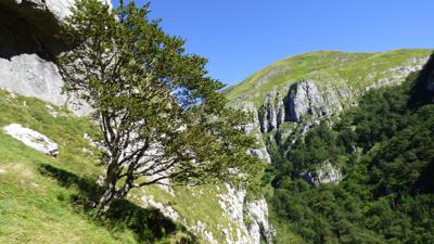 Der einsame Canyon d’Ehujarre