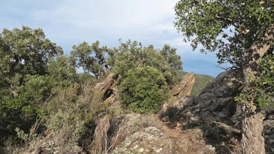 Collines de Cavalière