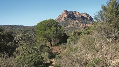 Rocher de Roquebrune