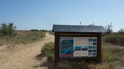 Ebrodelta – Bassa de les Olles