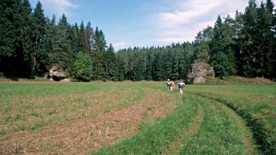 Wiesentfels und Krögelstein