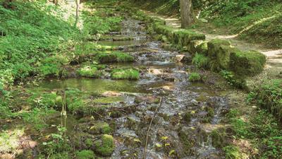 Rosenmüllerhöhle – Schwingbogen