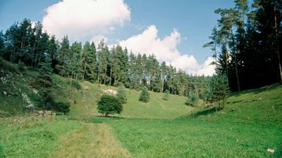 Trockental bei der Heroldsmühle