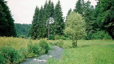 Der Trubachtalweg