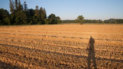Moosschwaige und Aubinger Lohe