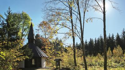 Durch den Truderinger Wald