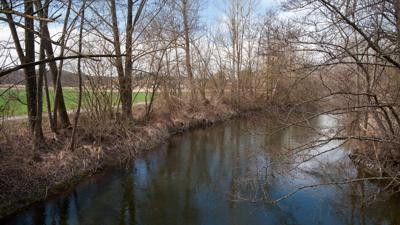 Durch den Bernrieder Wald