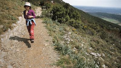 Pic Saint-Loup, 658 m