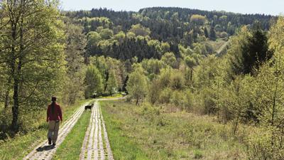 Zwischen Hessen und Thüringen auf dem Rößberg