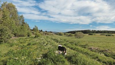 Zwischen Lotte und Felda