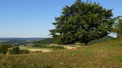 Wunschberg und Grimmelbachstausee