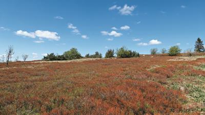 Rund um die Wasserkuppe