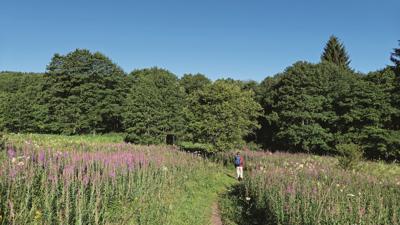 Rotes Moor