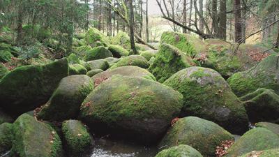 Naturschutzgebiet Doost – Galgen