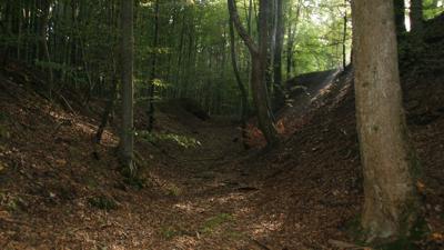 Rund um Fischach