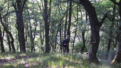 Scheuchenberg – Bach a. d. Donau
