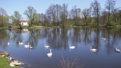Zum Gifpelkreuz auf dem Seeberg