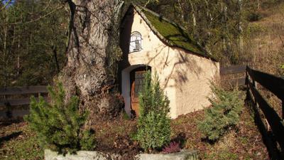 Zur Burgruine in Laaber