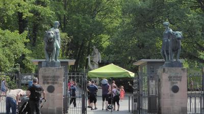 Rund um den Schmausenbuck