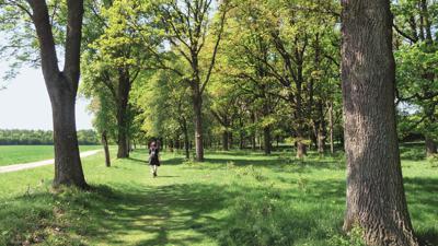Panoramaweg im Steigerwald