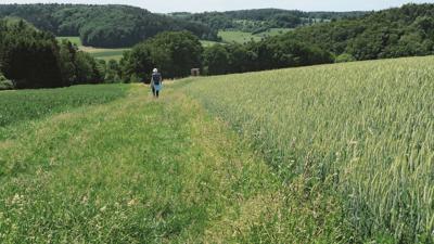 Von Geiselwind nach Großbirkach