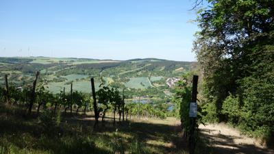 EU-Mittelpunkt – Edelmannswald