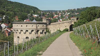 Weinwanderweg zur Festung Marienberg
