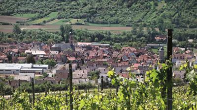 Auf der Spur der Eibelstadter Lügensteine