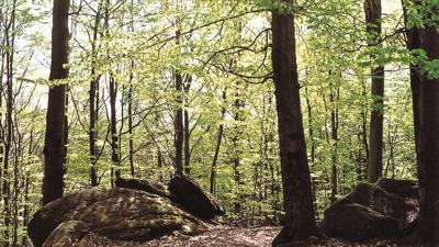 Zum Großen Hengstberg, 651 m