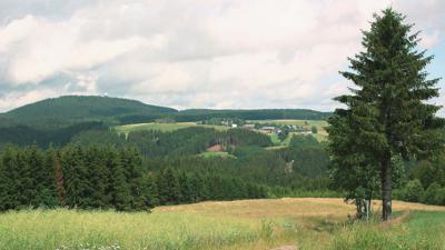Zum Döbraberg, 795 m