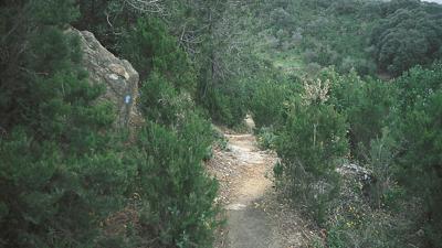Moneglia – Deiva Marina