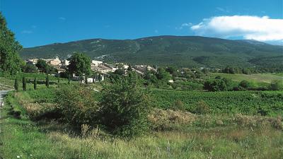 Combe de Curnier