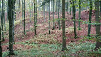 Von Pöttmes zum Gumppenberg