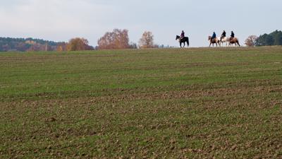 Von Aresing nach Oberlauterbach