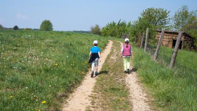 Wolnzacher Hopfenlehrpfad