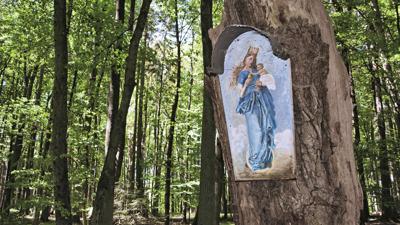 Streifzüge am Auer Schloßberg