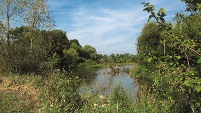 Bernhardsthal – Rabensburg