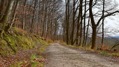 Grenzweg